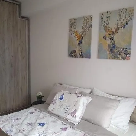 Brand New One-bedroom *